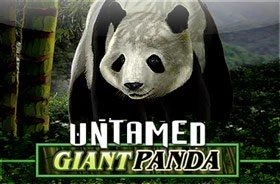 Подборка игровых автоматов с пандами 4 Подборка игровых автоматов с пандами