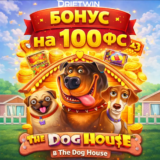 Промокод на 100 ФС в The Dog House